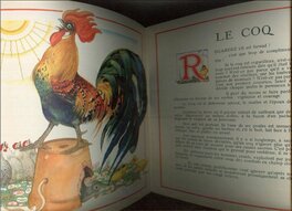 2Ème Version du Coq dans La Seconde Édition Marcus de 1945 . 2Ème Version du Coq dans La Seconde Édition Marcus de 1945 .