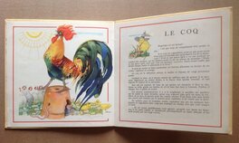 3Ème Version du Coq dans La Troisième Édition Marcus de 1946 avec Le Petit Poussin Jaune .