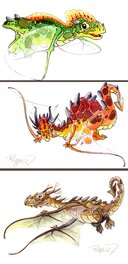 Illustration originale - 3 aquarelles Dragons
