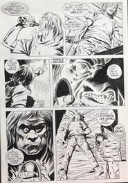 Planche 5