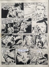 Planche 12 Planche 12