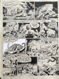 Planche 13 Planche 13
