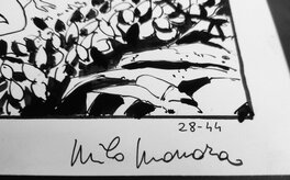 Milo Manara signature Milo Manara signature