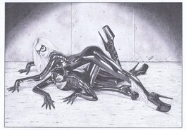 Tim Grayson - Cat Fight : Catwoman & Black Cat - Original Illustration