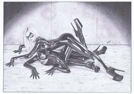 Cat Fight : Catwoman & Black Cat