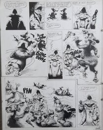 Benoît Sokal - Canardo - Le flic qui m'aimait - planche 5 - Comic Strip