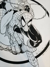 Spider man Spider man