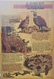 Planche à la lumière