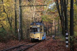 Le tram allant du Grosse Muggelsee à la gare Le tram allant du Grosse Muggelsee à la gare