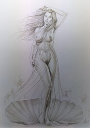 Cosimo Ferri - Illustration - Aphrodite - Original Illustration