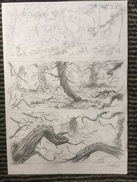 François Gomès - Recherche Brocéliande t5 - Original art