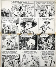 Gérald Forton - Tiger Joe - Opération Chakal pl 5 - Comic Strip