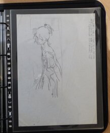 L'œuvre dans son portfolio L'œuvre dans son portfolio