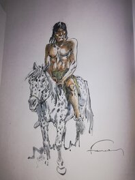 Hermann - Comanche - Comic Strip