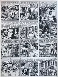 Bob Leguay - Tim l'audace - les tigres d'Afrique pl 8 - Planche originale