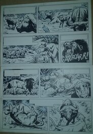 Karel Biddeloo - Safari: De Buffeljacht Pagina 5 - Comic Strip
