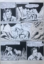 Planche 12 Planche 12