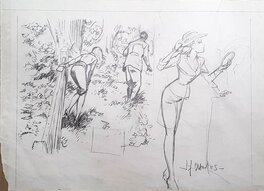 Jean-François Charles - Crayonné préparatoire série Fox - Original art