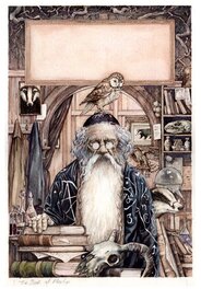 Stephen Lavis - The book of Merlyn - Original Illustration
