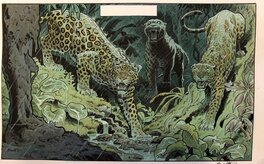 Nos amis les léopards Nos amis les léopards