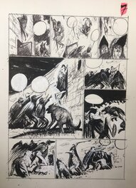 Planche 7