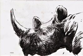 Tête de rhinocéros