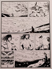 Didier Comès - 1981 - La Belette * - Comic Strip