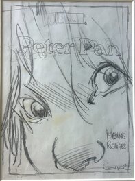 Peter pan - T4 Etude de couverture