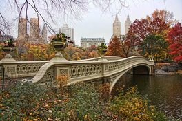 Bow Bridge dans Central Park (année de construction 1862)