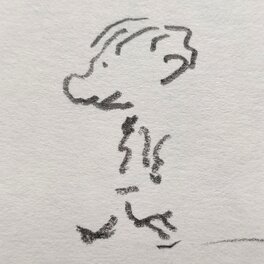 Zoom Zoom