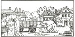 Strip 2 Strip 2