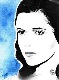 Shelton Bryant - Princess Leia - Illustration originale