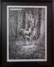 L'illustration encadrée L'illustration encadrée