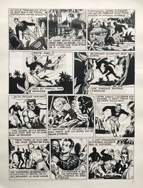 Planche 5 Planche 5