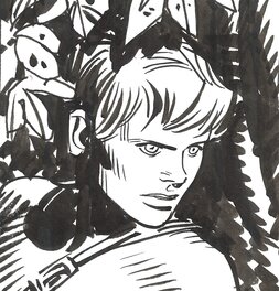 Visage aux yeux "tacconesques" Visage aux yeux "tacconesques"