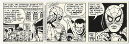 Larry Lieber - The Amazing Spider-Man #9-19 - Comic Strip