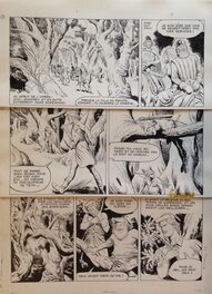 Eduardo Coelho - Robin des Bois - Comic Strip