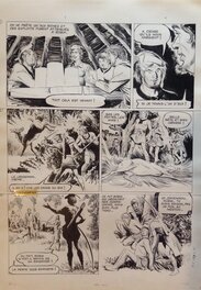 Eduardo Coelho - Robin des Bois - Comic Strip