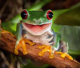 ...et On a Pleins D'Amis a Bora Bora ... ...et On a Pleins D'Amis a Bora Bora ...
