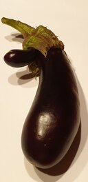 L'Aubergine est Omniprésente dans L'Art de Silvio Cadelo . L'Aubergine est Omniprésente dans L'Art de Silvio Cadelo .
