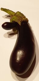 L'Aubergine est Omniprésente dans L'Art de Silvio Cadelo .