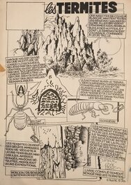 Eddy Paape - Les Termites - Spirou - Comic Strip