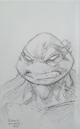 Raphael - TMNT