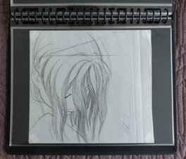 L'oeuvre dans son portfolio L'oeuvre dans son portfolio