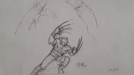 Caza - Wolverine - Planche originale