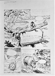Planche 1 Planche 1