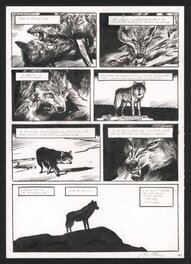 Jean-Marc Rochette - Jean Marc Rochette  - Le Loup p44 - Planche originale