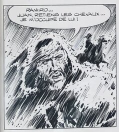 6 6