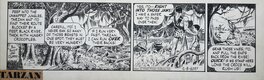 Celardo - Tarzan, strip (12.8) 6037, 1958 - Comic Strip