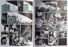 Planches 28 et 29 Planches 28 et 29